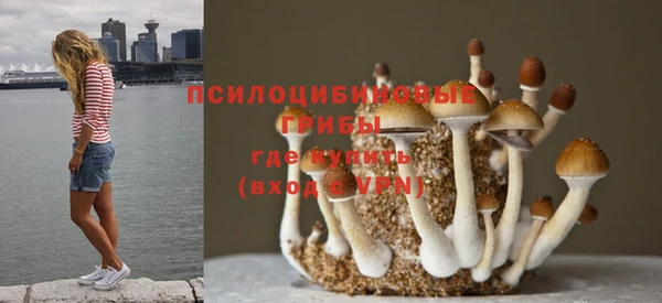 твердый Балабаново