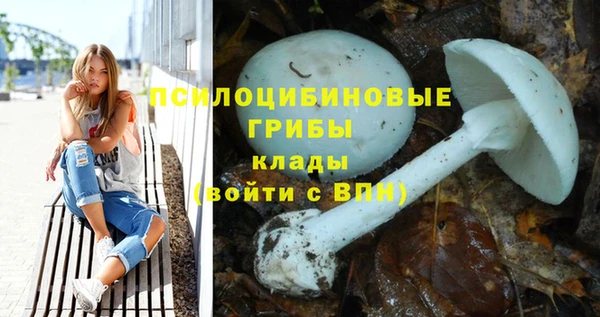 твердый Балабаново