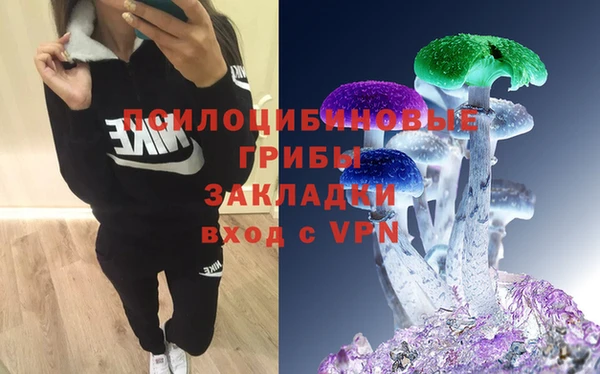 эйфоретик Баксан