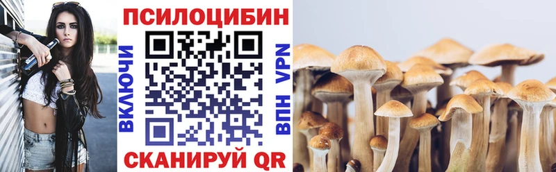 Псилоцибиновые грибы прущие грибы  Киров 